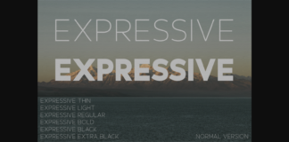 Expressive Font Poster 1