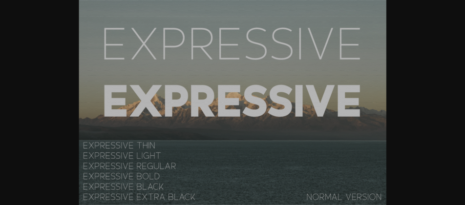 Expressive Font Poster 1