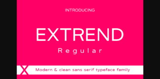 Extrend Regular Font Poster 1