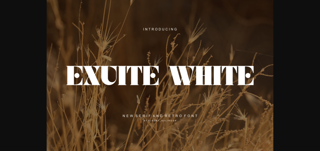 Exuite White Font Poster 3