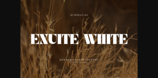 Exuite White Font Poster 1