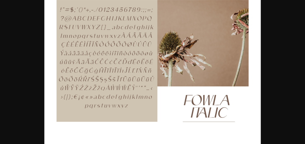 Fowla Font Poster 10