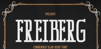 Freiberg Fonts