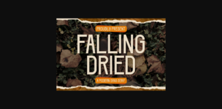 Falling Dried Font Poster 1