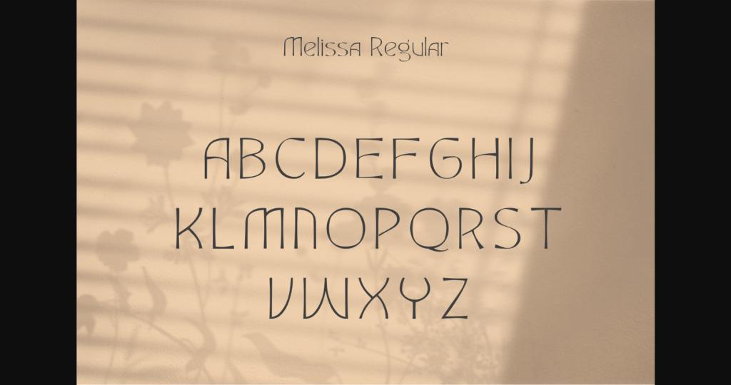 Fashion Elegant Beautiful Timeless Moder Font Poster 2