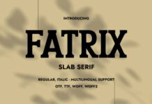 Fatrix Fonts