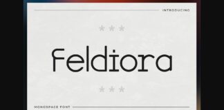 Feldiora Font Poster 1