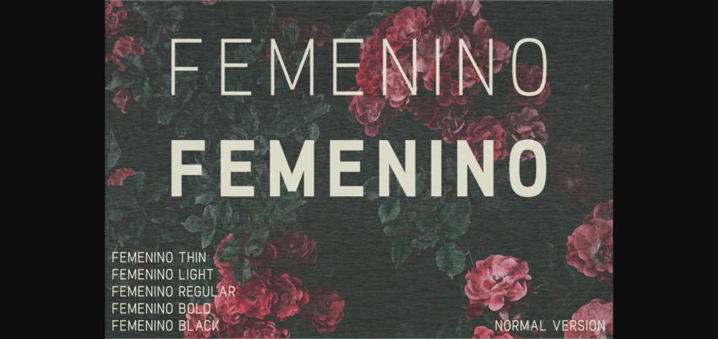 Femenino Font Poster 3