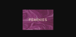 Feminies Font Poster 1