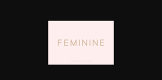 Feminine Font Poster 1