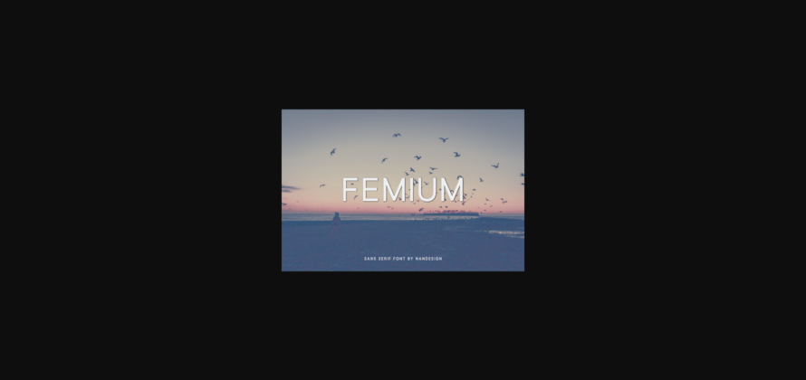 Femium Font Poster 3