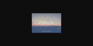 Femium Font Poster 1