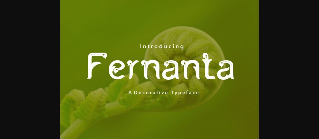 Fernanta Font Poster 1