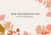 Field Trip Typewriter Fonts