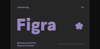 Figra Font Poster 1