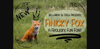 Finicky Fox Font Poster 1