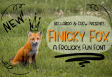 Finicky Fox Font