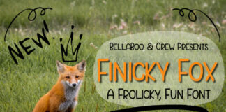 Finicky Fox Font