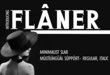 Flaner Fonts