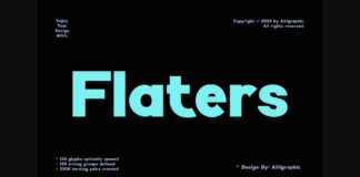 Flaters Font Poster 1