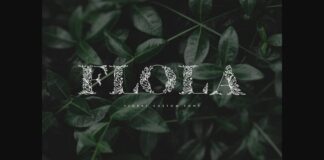 Flola Font Poster 1