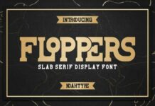 Floppers Fonts