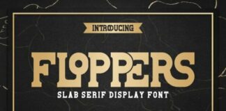 Floppers Fonts