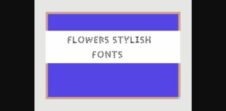 Flower Stylish Font Poster 1