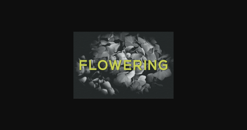 Flowering Font Poster 3