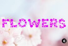 Flowers Font Poster 1