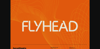 Flyhead Font Poster 1