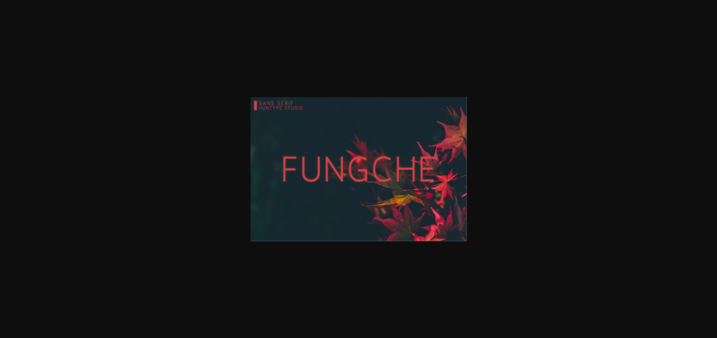 Fungche Font Poster 3