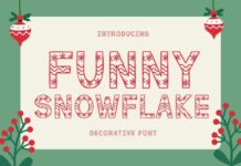 Funny Snowflake Font Poster 1