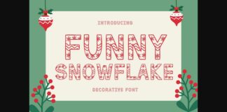 Funny Snowflake Font Poster 1