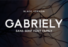 Gabriely Black Fonts