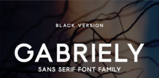 Gabriely Black Fonts