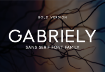 Gabriely Bold Fonts