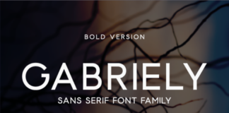 Gabriely Bold Fonts