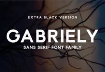 Gabriely Extra Black Font