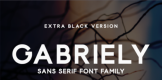 Gabriely Extra Black Font