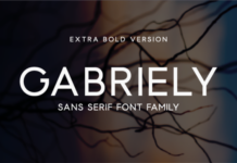 Gabriely Extra Bold Font