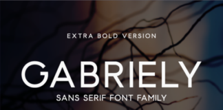 Gabriely Extra Bold Font