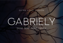 Gabriely Extra Light Font