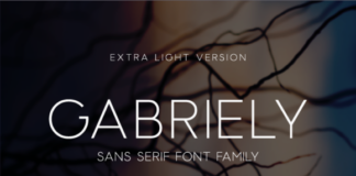 Gabriely Extra Light Font