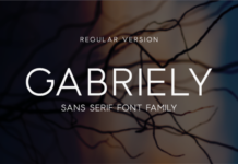 Gabriely Font