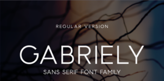 Gabriely Font