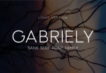 Gabriely Light Font