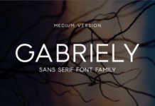 Gabriely Medium Font