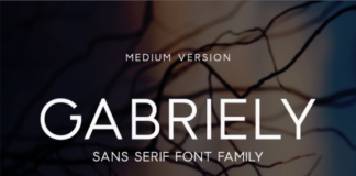 Gabriely Medium Font