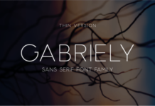 Gabriely Thin Font